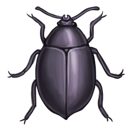 Bug